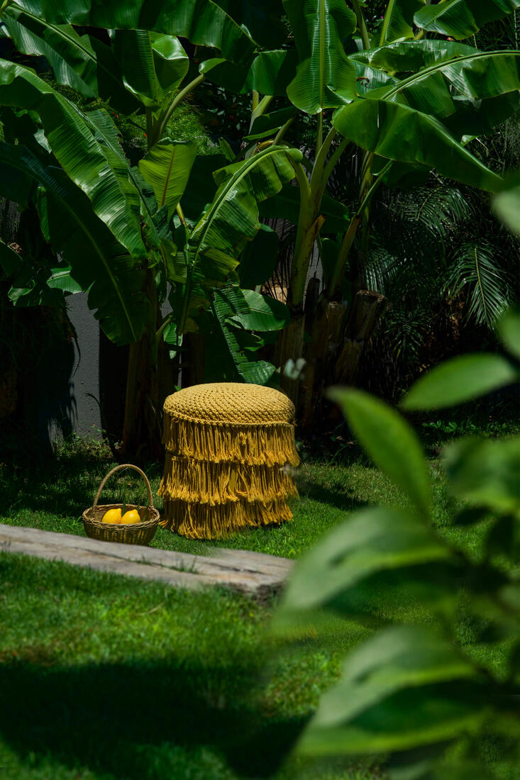 Potted plant detail in the garden at Side Aluna Hotel