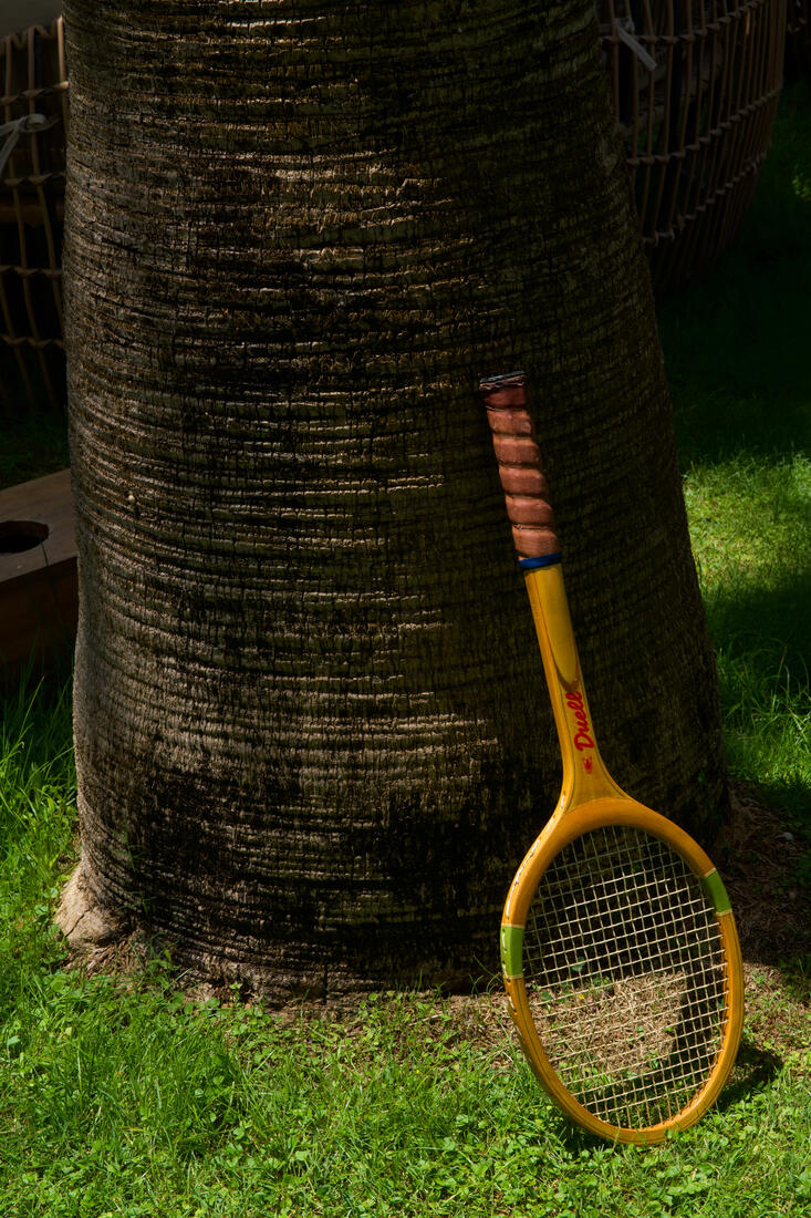 Tennis racket resting against a palm tree at Side Aluna Hotel